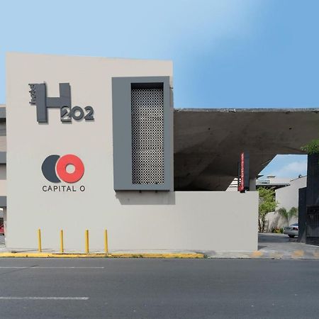 Hotel 202 Monterrey Zewnętrze zdjęcie
