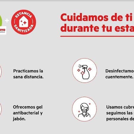 Hotel 202 Monterrey Zewnętrze zdjęcie