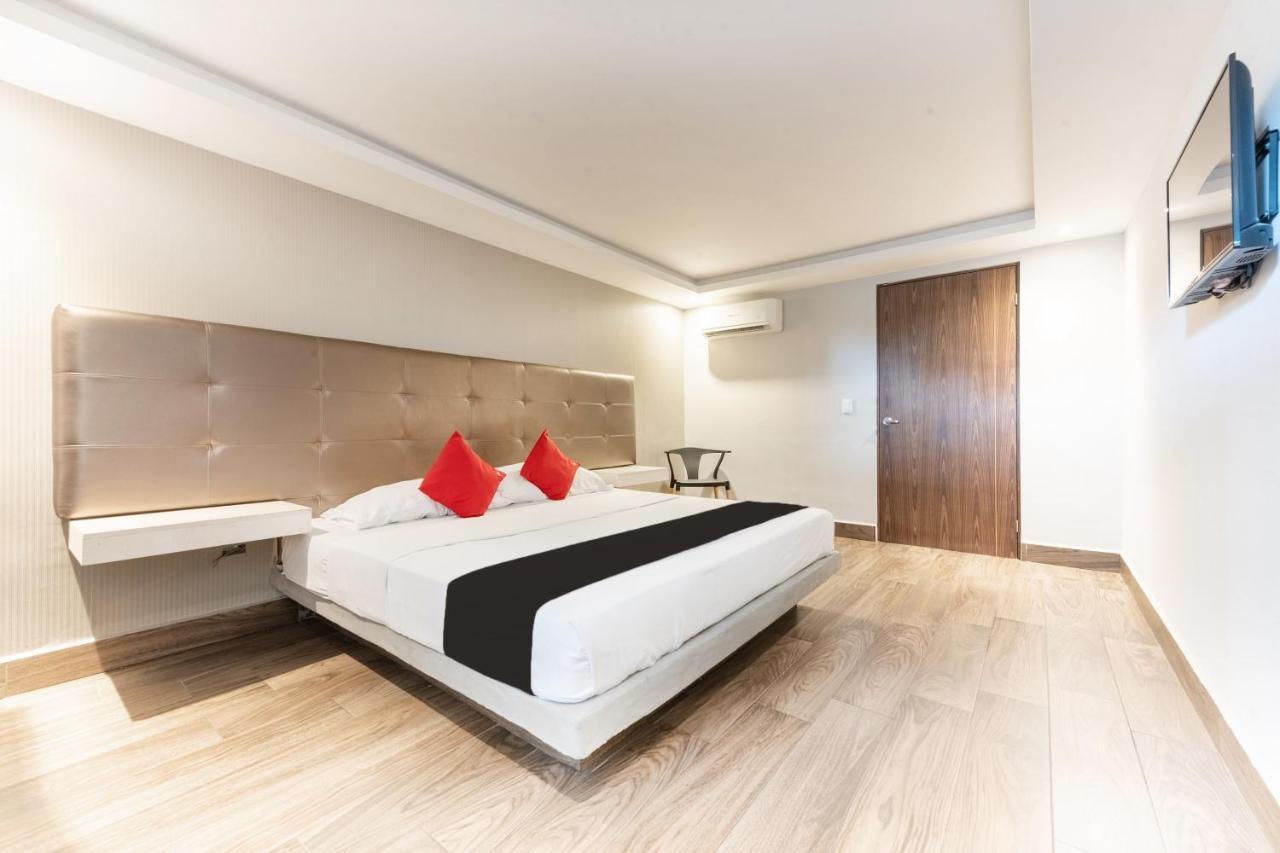 Hotel 202 Monterrey Zewnętrze zdjęcie