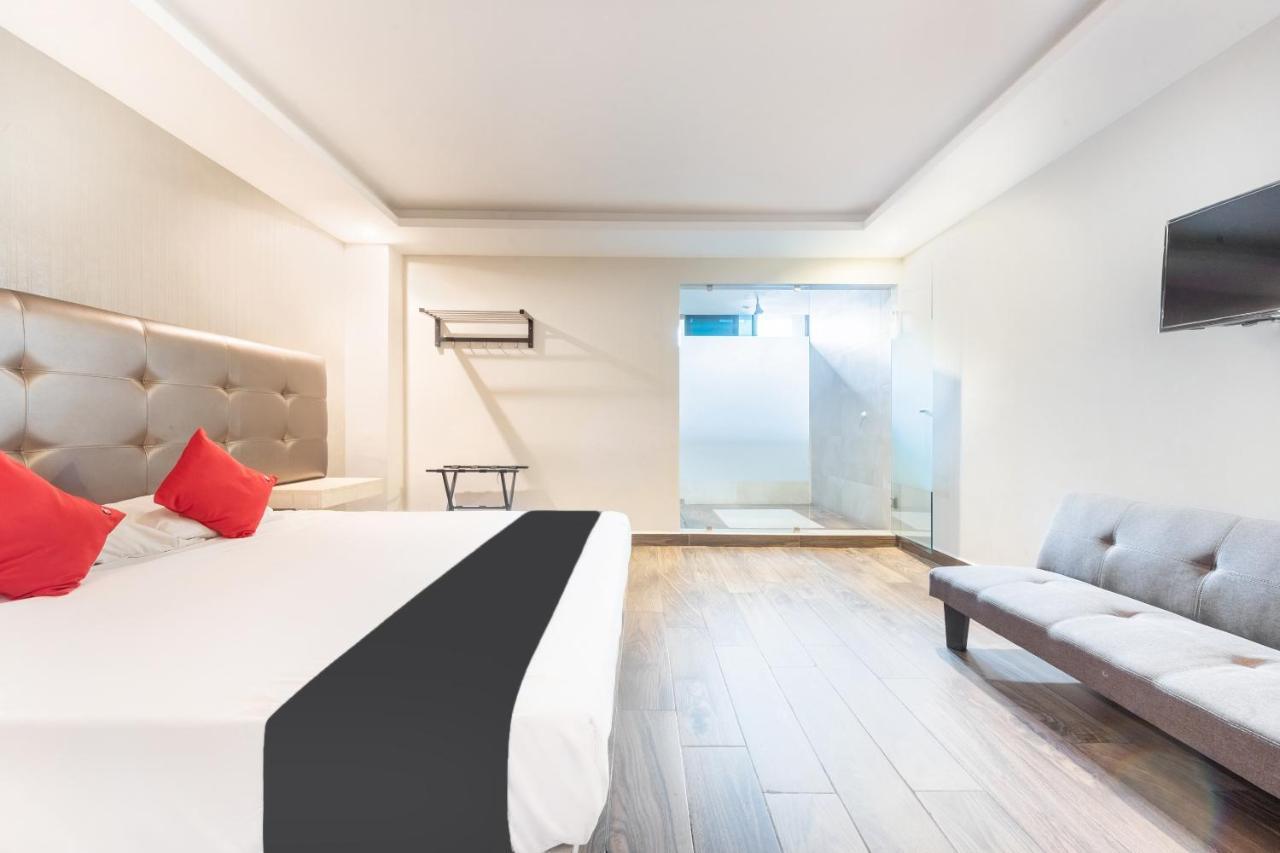 Hotel 202 Monterrey Zewnętrze zdjęcie