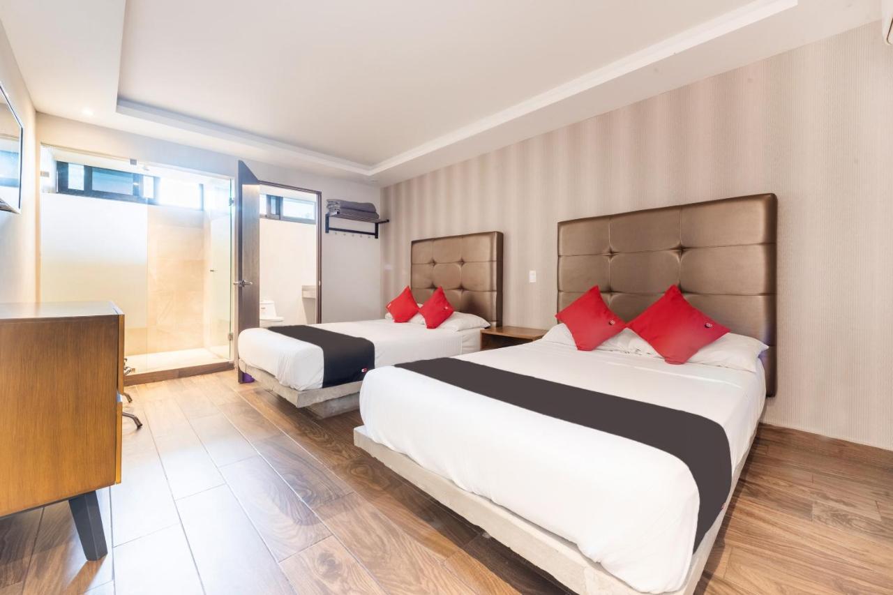 Hotel 202 Monterrey Zewnętrze zdjęcie