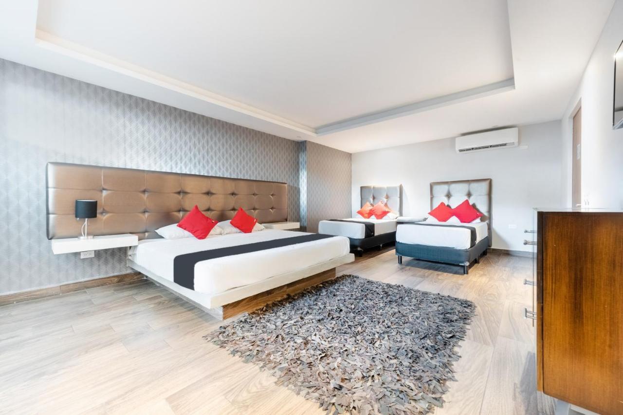Hotel 202 Monterrey Zewnętrze zdjęcie