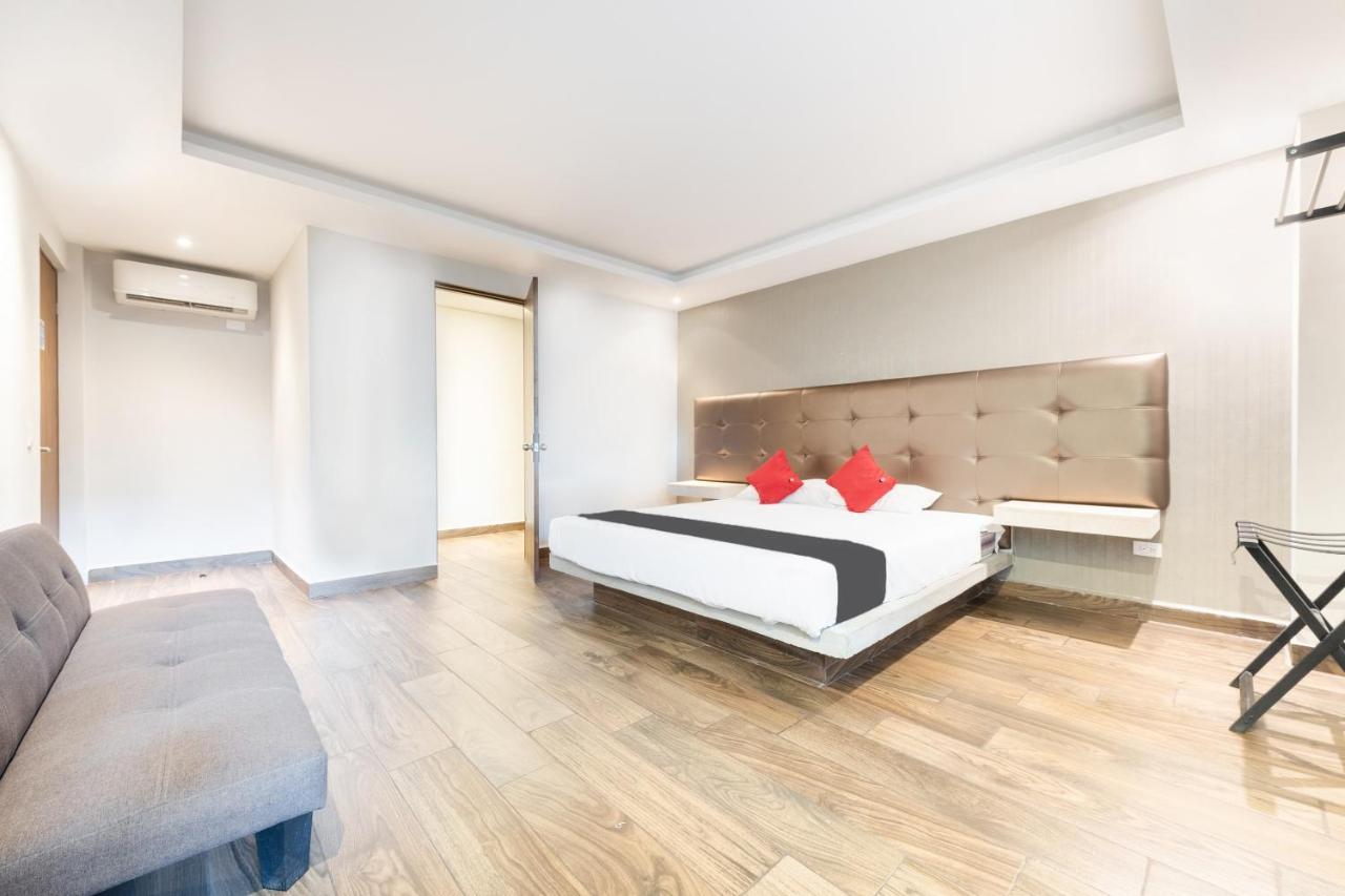Hotel 202 Monterrey Zewnętrze zdjęcie