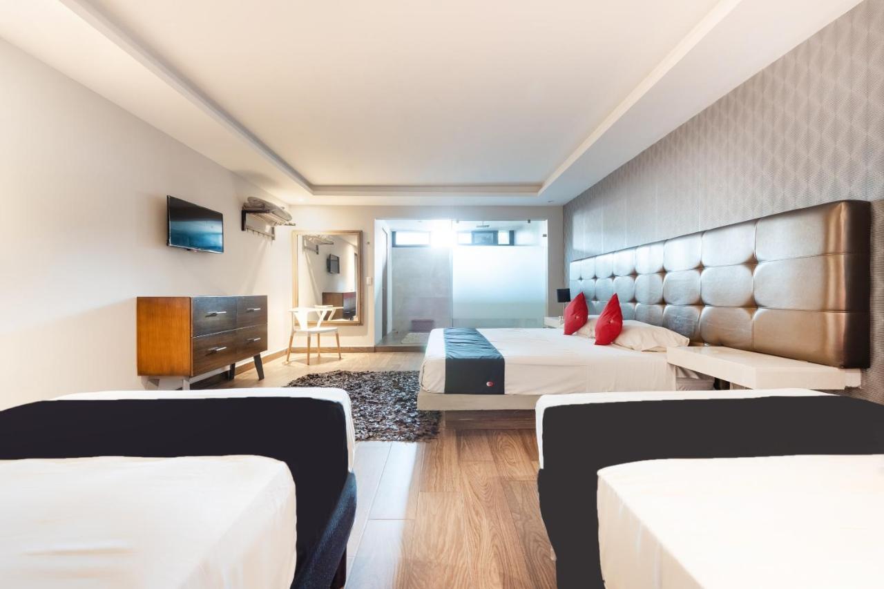 Hotel 202 Monterrey Zewnętrze zdjęcie