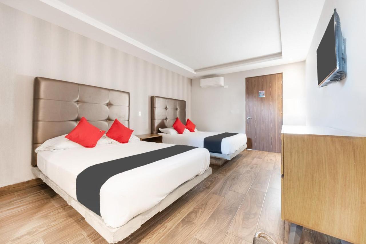 Hotel 202 Monterrey Zewnętrze zdjęcie