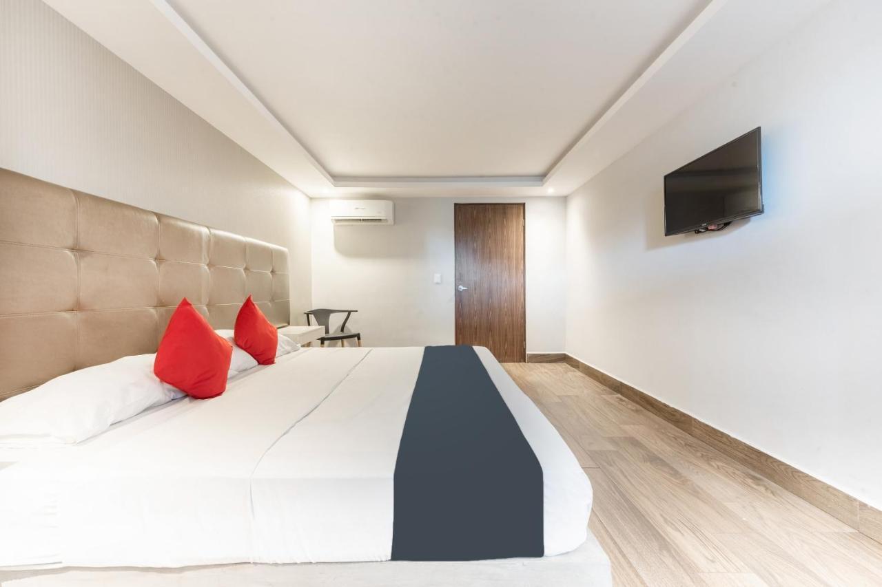 Hotel 202 Monterrey Zewnętrze zdjęcie