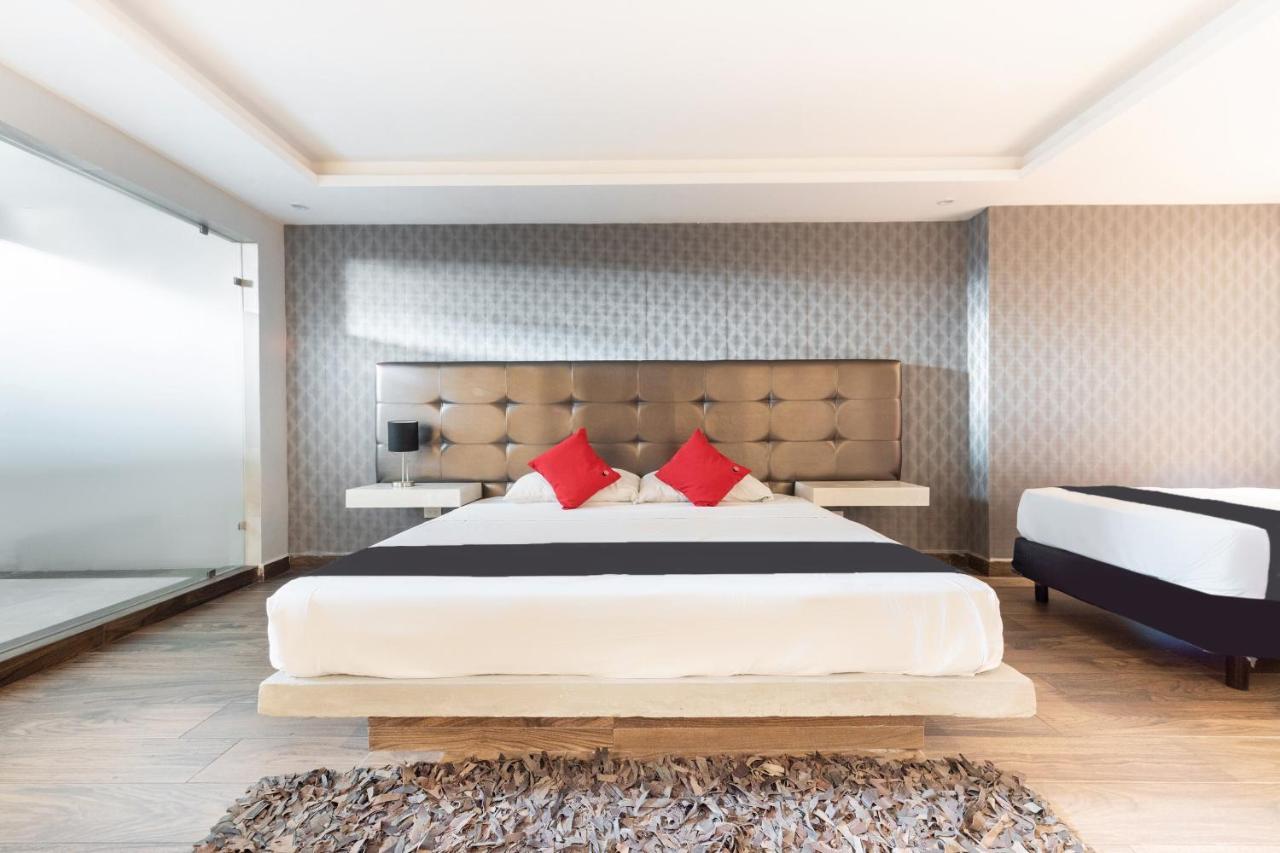 Hotel 202 Monterrey Zewnętrze zdjęcie