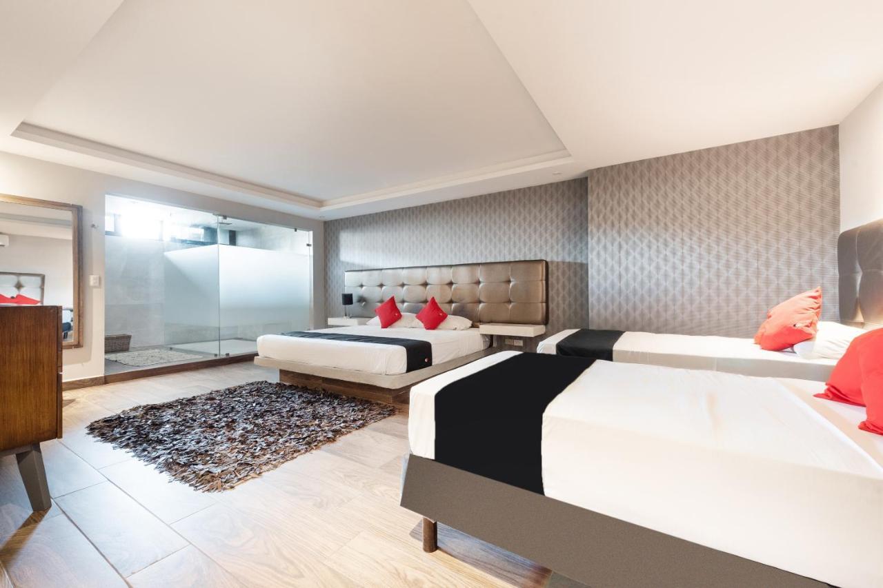 Hotel 202 Monterrey Zewnętrze zdjęcie