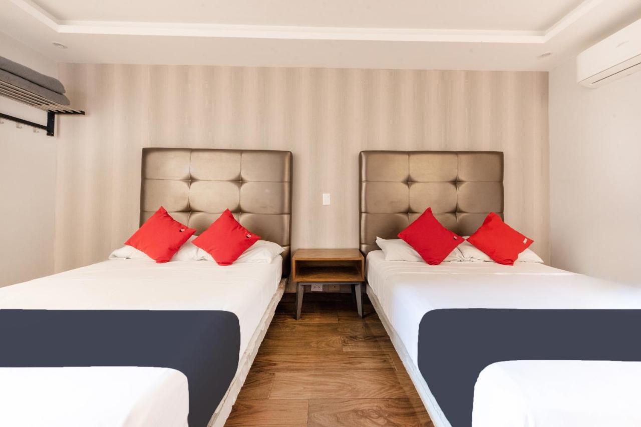 Hotel 202 Monterrey Zewnętrze zdjęcie