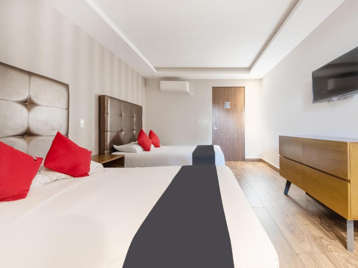 Hotel 202 Monterrey Zewnętrze zdjęcie