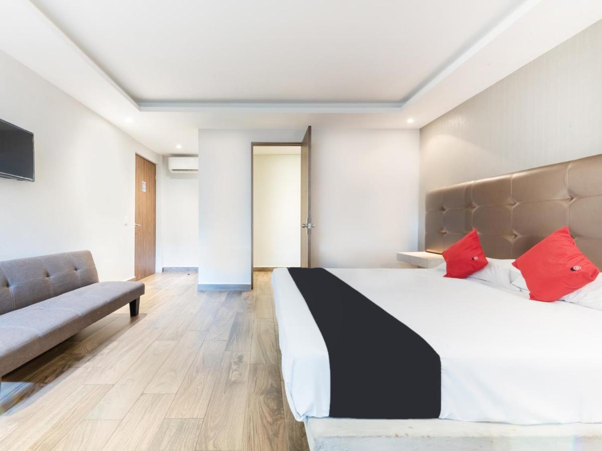 Hotel 202 Monterrey Zewnętrze zdjęcie