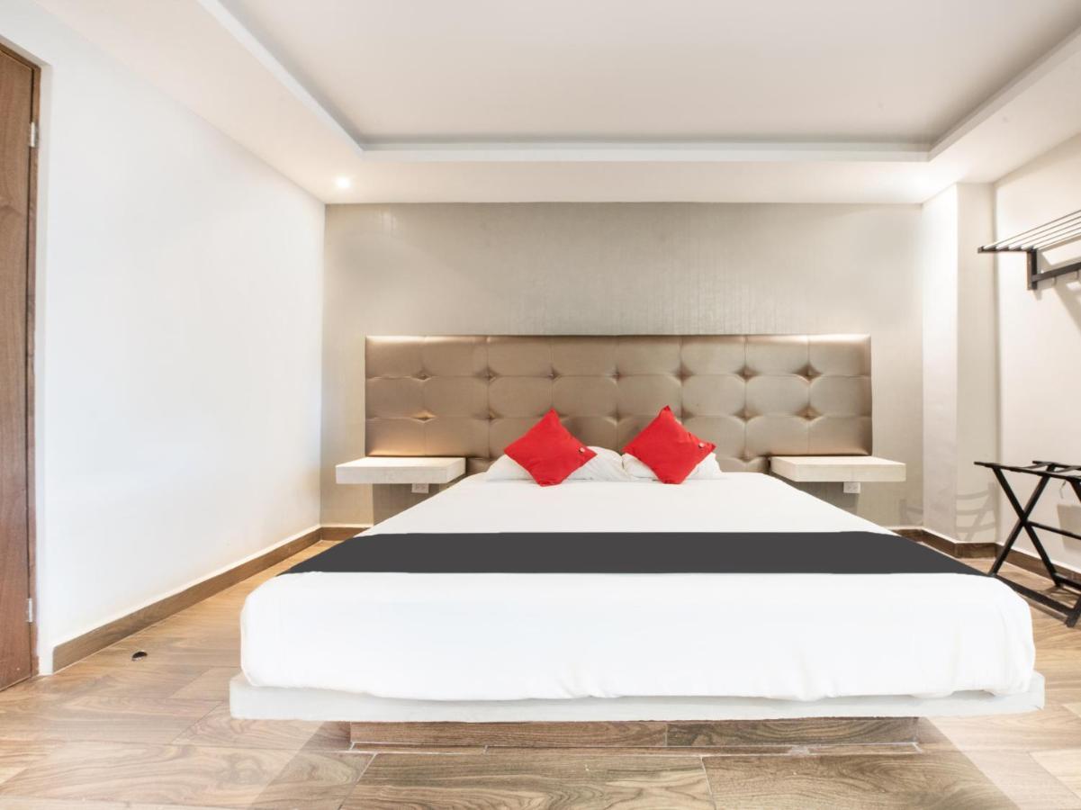 Hotel 202 Monterrey Zewnętrze zdjęcie
