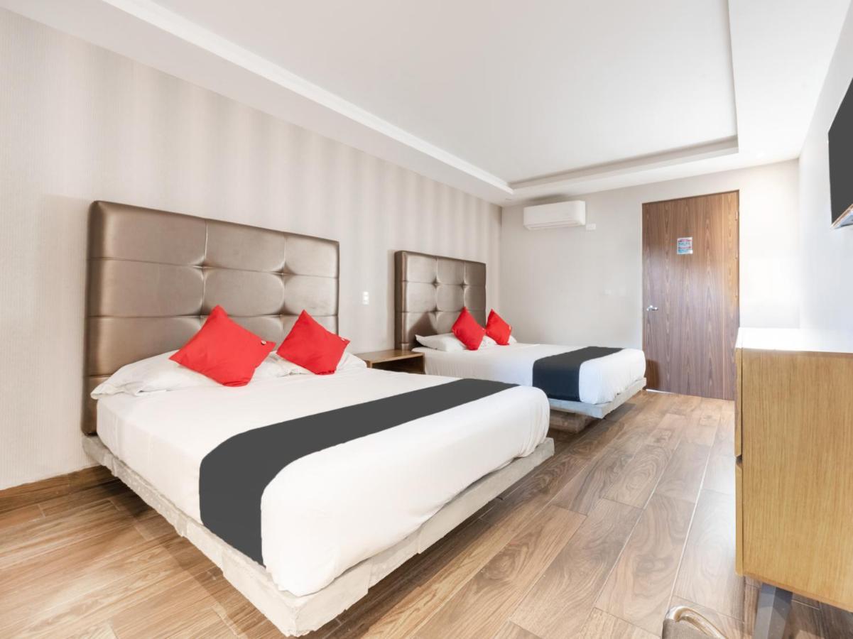 Hotel 202 Monterrey Zewnętrze zdjęcie
