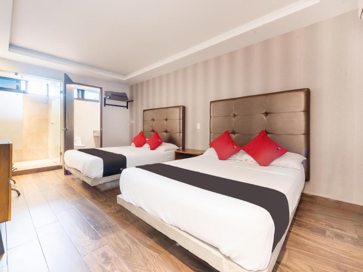 Hotel 202 Monterrey Zewnętrze zdjęcie