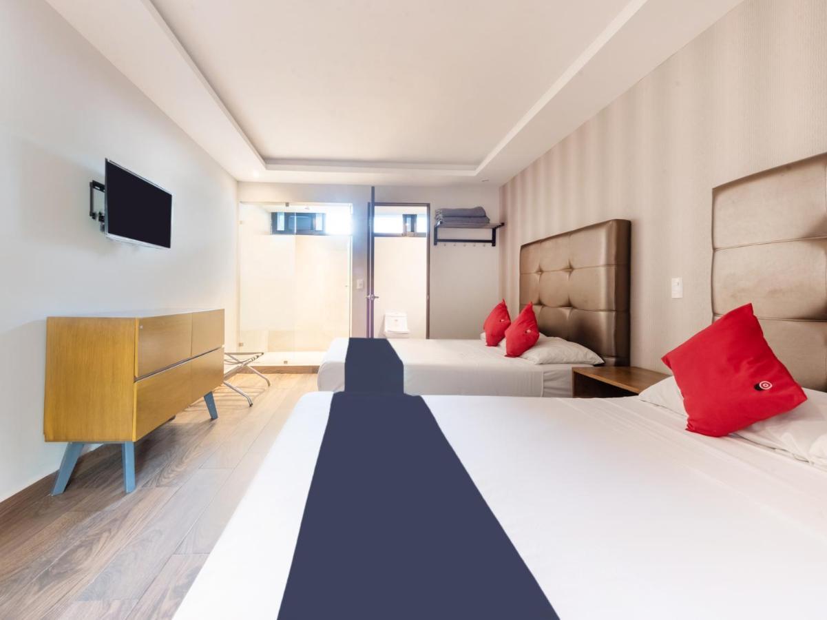 Hotel 202 Monterrey Zewnętrze zdjęcie