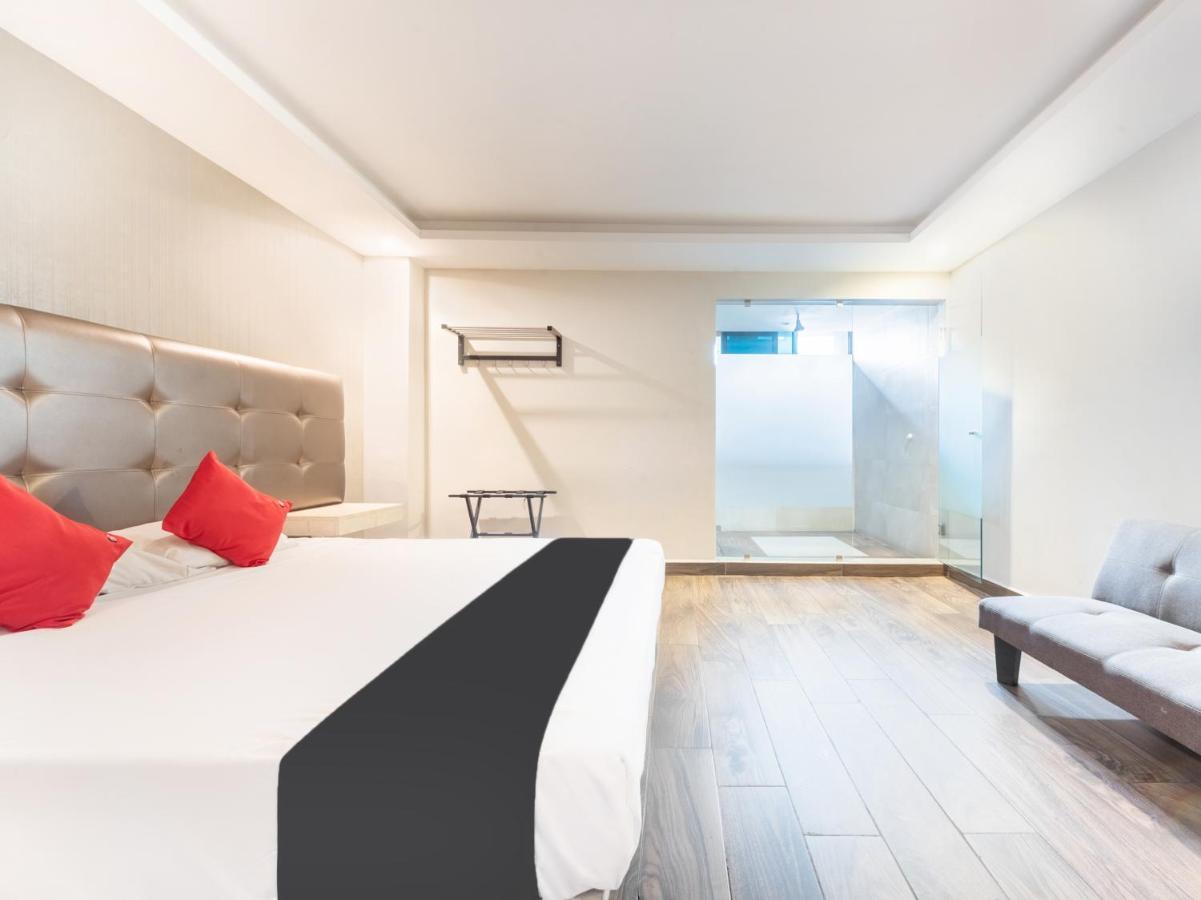 Hotel 202 Monterrey Zewnętrze zdjęcie