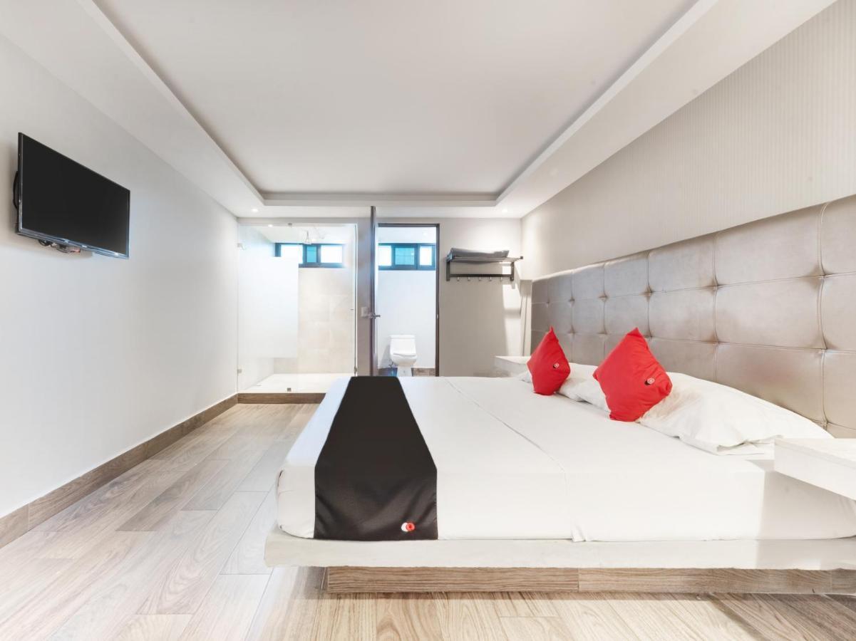 Hotel 202 Monterrey Zewnętrze zdjęcie