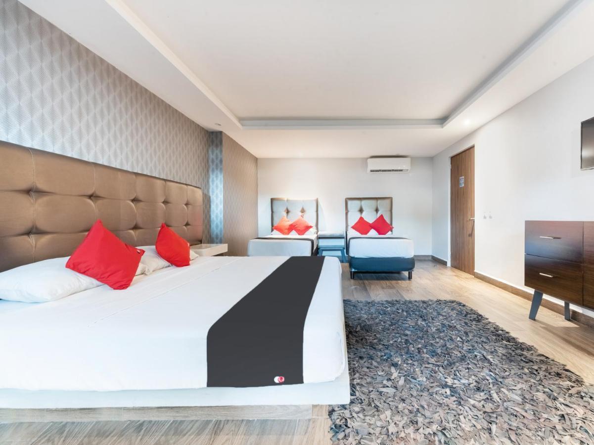 Hotel 202 Monterrey Zewnętrze zdjęcie