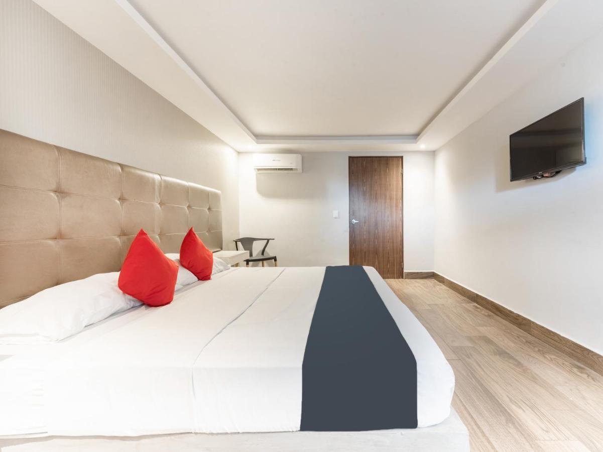 Hotel 202 Monterrey Zewnętrze zdjęcie