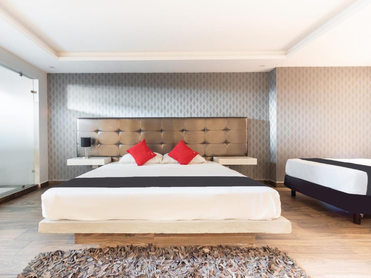 Hotel 202 Monterrey Zewnętrze zdjęcie