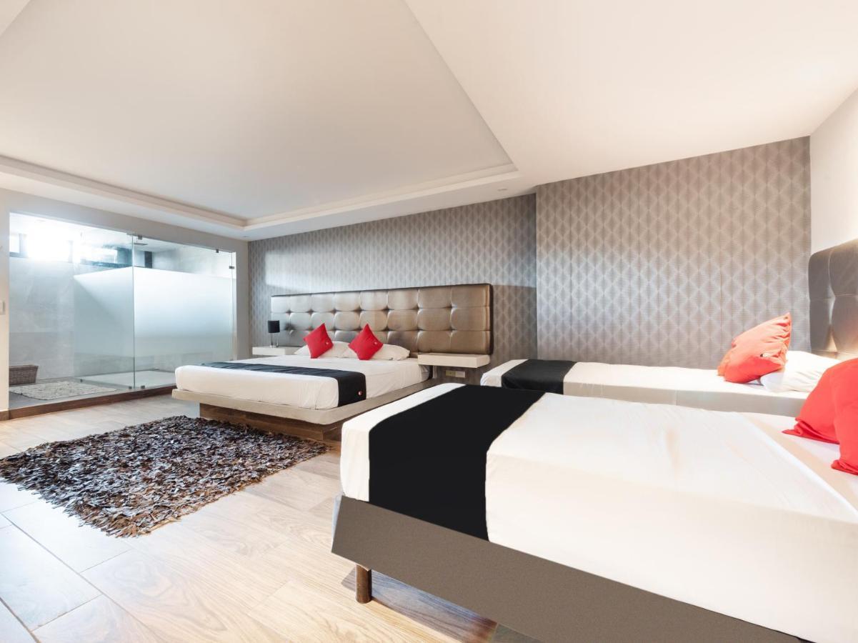 Hotel 202 Monterrey Zewnętrze zdjęcie